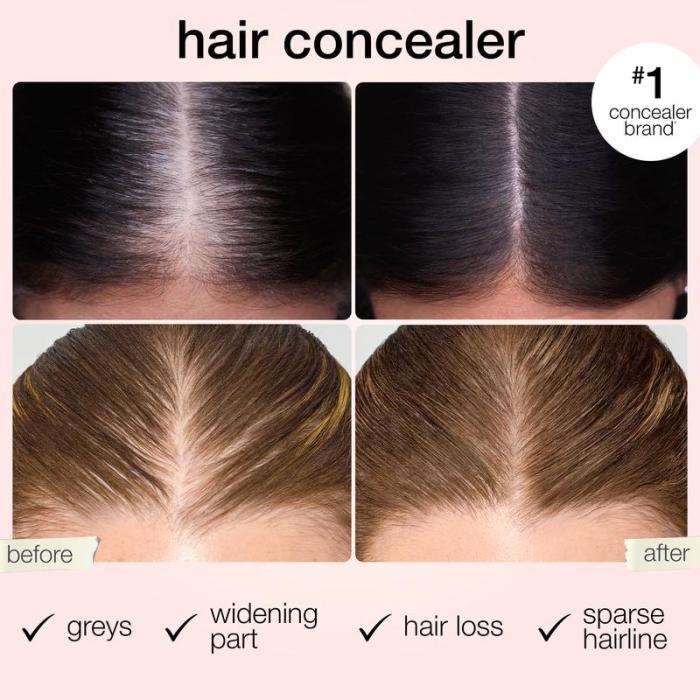 Veylora Dab & Go Hair Concealer